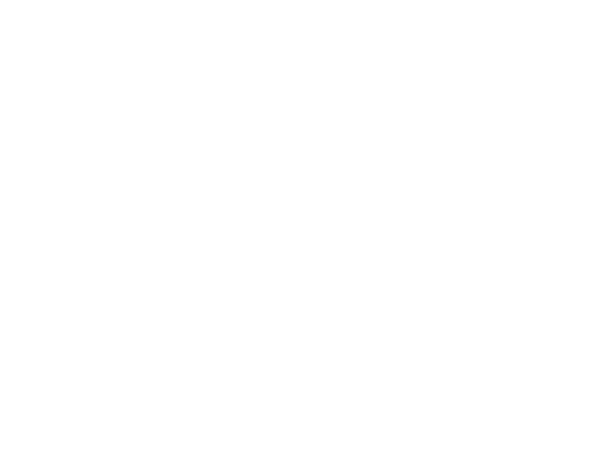 DS logo